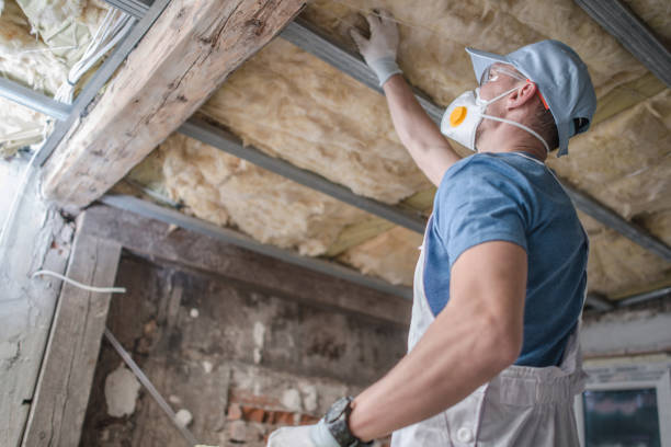 Best Insulation Installation Services in Castle Rock, WA